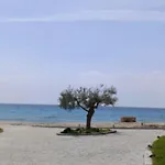 Horizon Elani