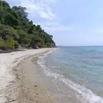 Horizon * Elani